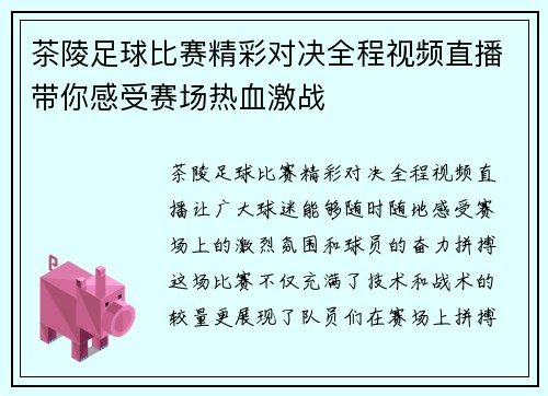 茶陵足球比赛精彩对决全程视频直播带你感受赛场热血激战